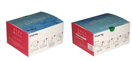 3ML Disposable VTM Test Kit การสุ่มตัวอย่างไวรัสสำหรับ Covid-19