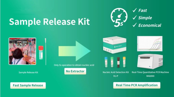 ตัวอย่างไวรัส PCR Rapid Test Kit DNA Release Reagent FDA Approval