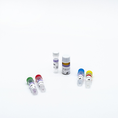 Rapid RT PCR Test Kits การเรืองแสงที่รวดเร็วและง่ายดายสำหรับ Covid-19