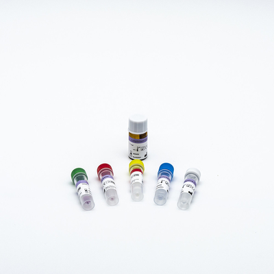 DNA RNA PCR Reagent Kit 48 การทดสอบ/ชุดเครื่องมือทางการแพทย์ที่มีความน่าเชื่อถือสูง