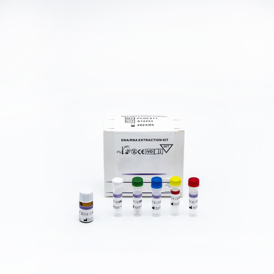 Rapid RT PCR Test Kits การเรืองแสงที่รวดเร็วและง่ายดายสำหรับ Covid-19