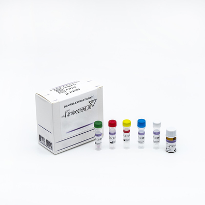 ชุดทดสอบ PCR Swab เชิงปริมาณเรืองแสงแบบเรียลไทม์แบบพกพา 48 การทดสอบ / ชุด