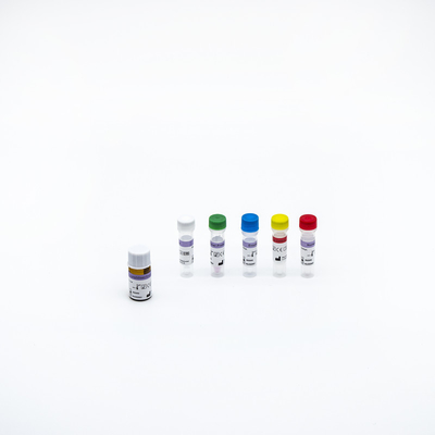 CE Approval Class I RT PCR Rapid Test Kit ชุดตรวจหากรดนิวคลีอิก