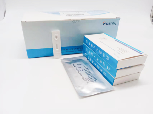 CE อนุมัติการทดสอบการขยายกรดนิวคลีอิกขั้นตอนเดียว PCR NAAT ทดสอบน้ำลาย Swab