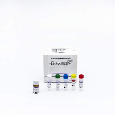 Fluorescence Real Time PCR Reagent Kit ใบรับรอง SGS